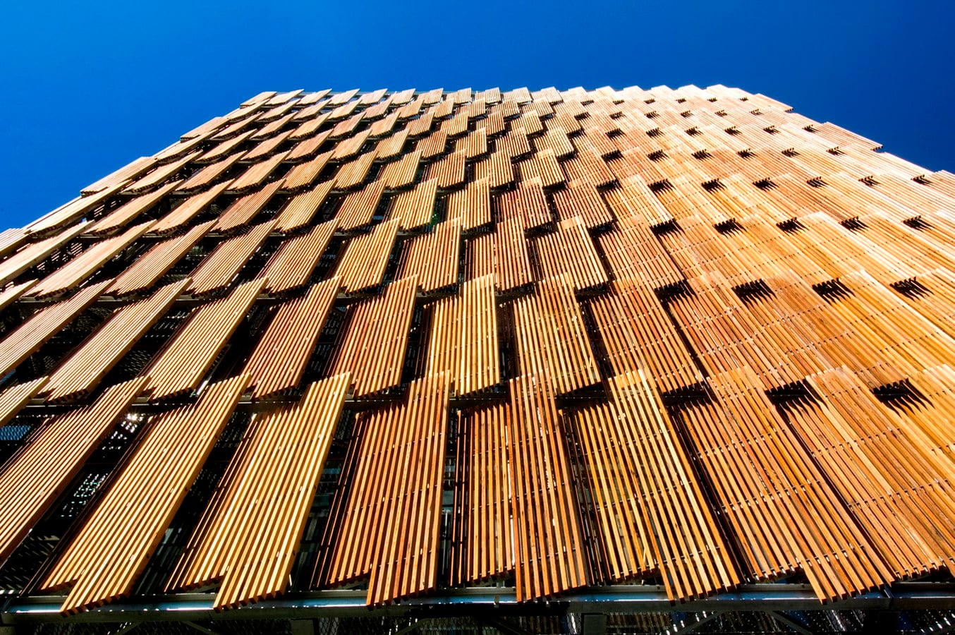 Is Sustainability through biomimicry possible? - Sheet5