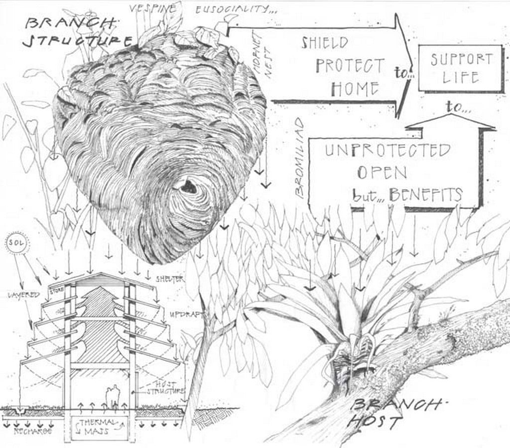 Is Sustainability through biomimicry possible? - Sheet6