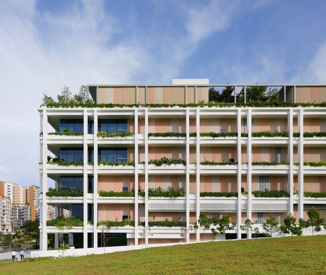 Oasis terraces by Serie Architects - Kapil Gupta and Christopher Lee: A sense of openness - Sheet5
