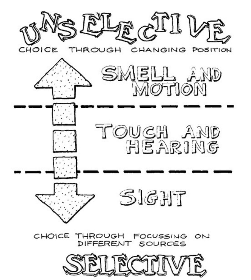 Book in Focus: Responsive Environments by Ian Bentley - Sheet10