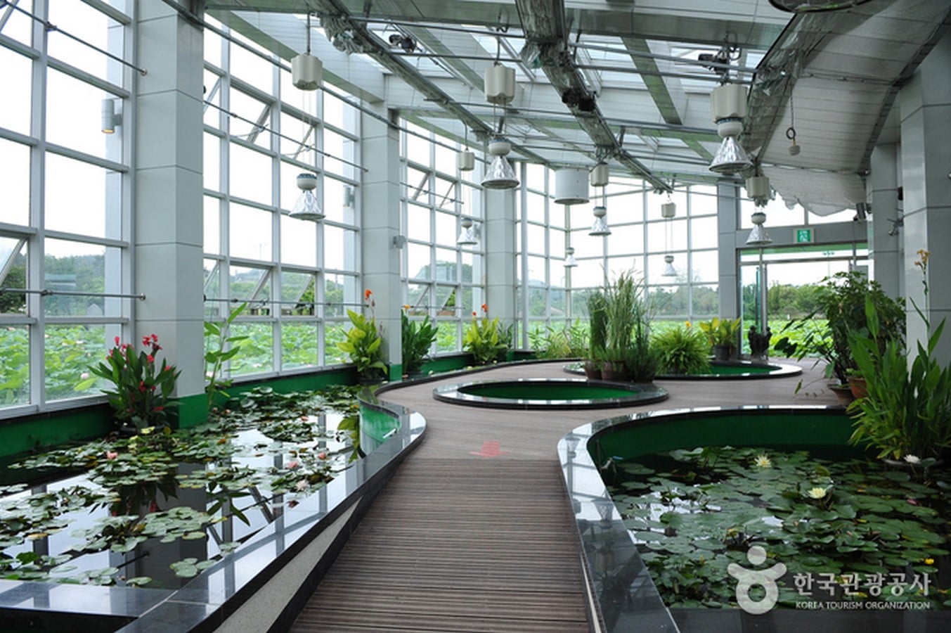 Hoesan White Lotus Pond, Jeonranamdo - Sheet1