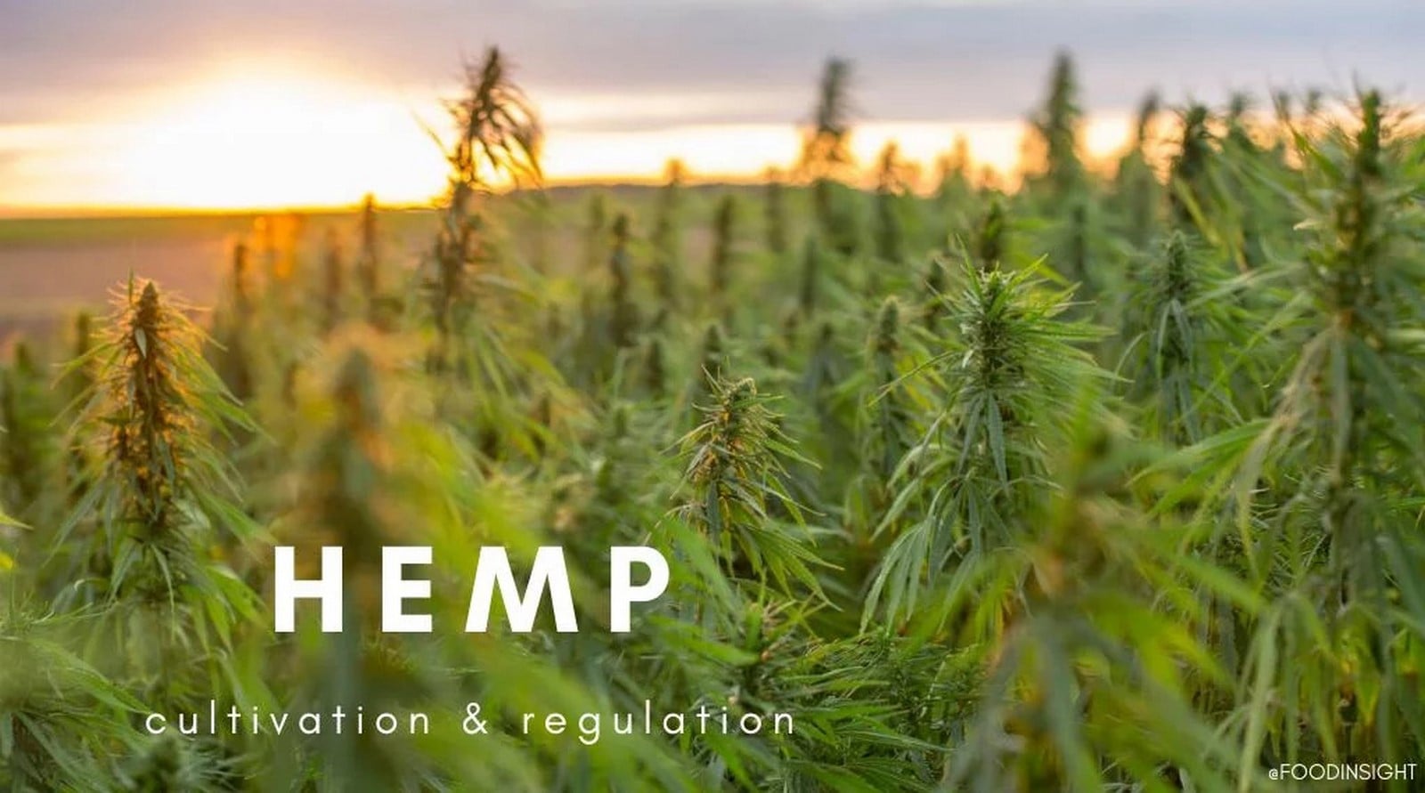 Alternative Materials Hempcrete - Sheet3