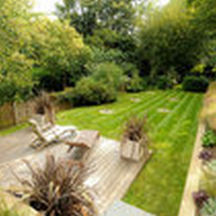 Belvedere Road Backyard, England - Sheet2