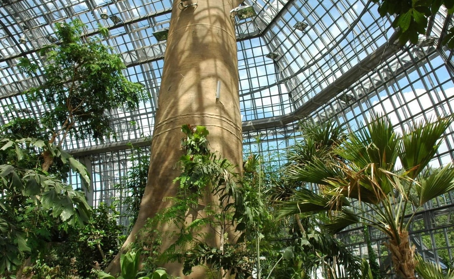 15 Iconic Glass buildings around the world - Sheet7