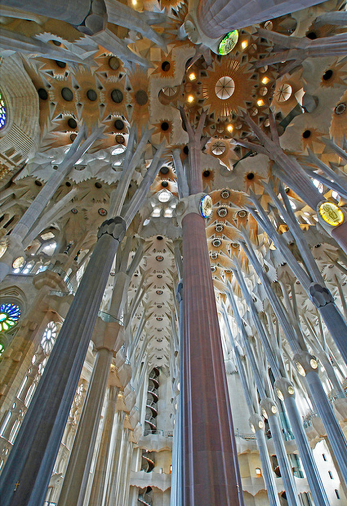 Biophilia in Architectural Design - Sheet6