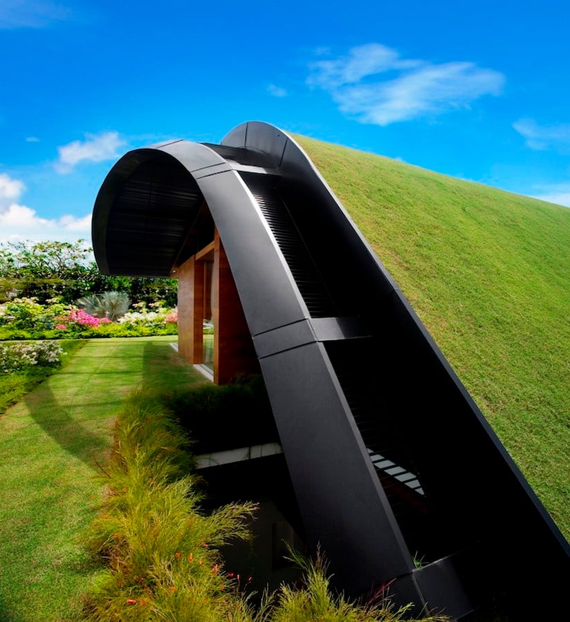 Green Roofs: An urban agricultural opportunity - Sheet11