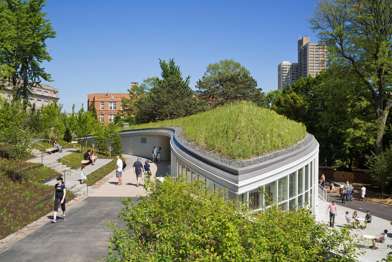 Green Roofs: An urban agricultural opportunity - Sheet7