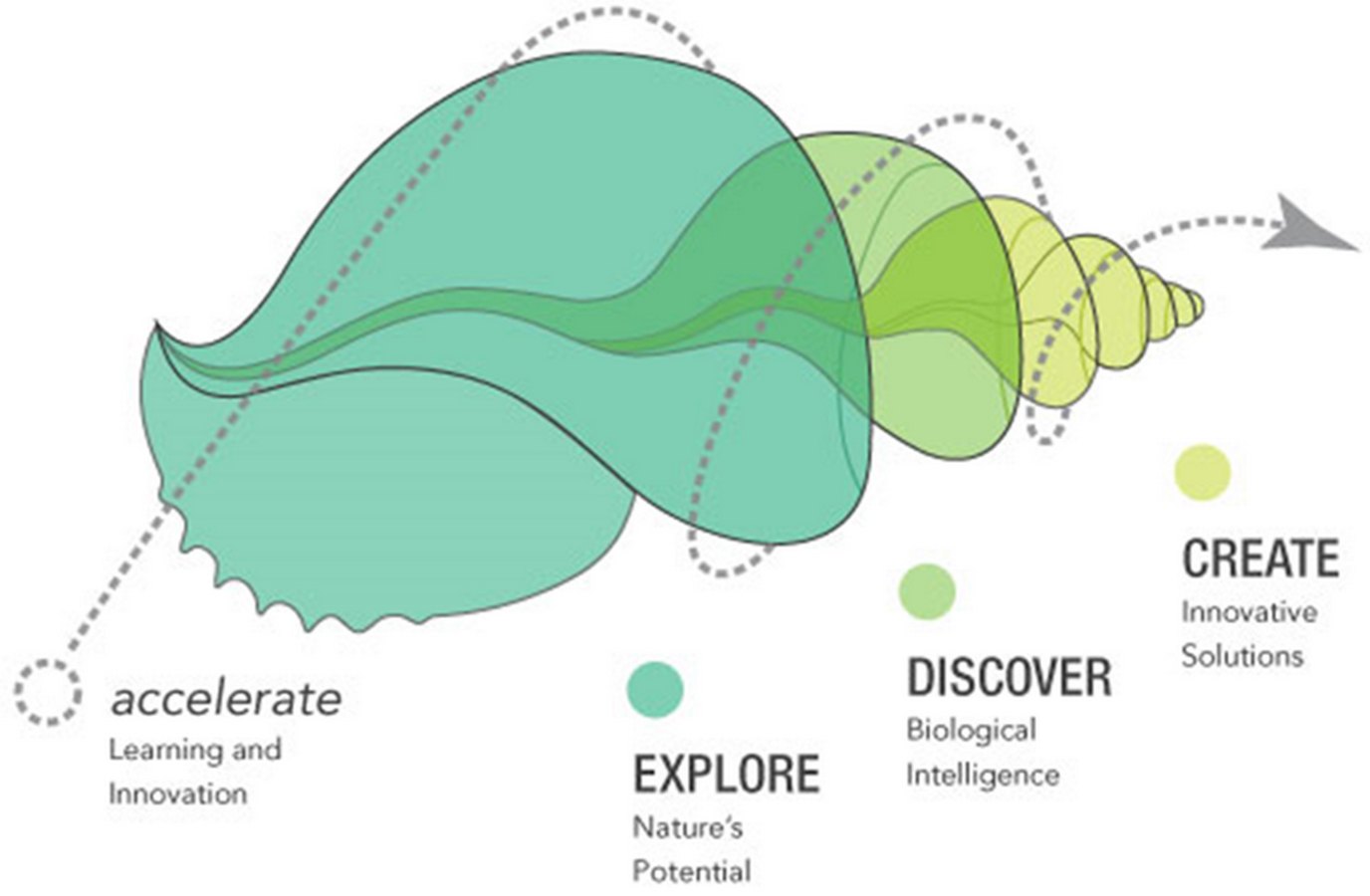 Within Living Nature – Where Nature is Changing Innovation - Sheet1