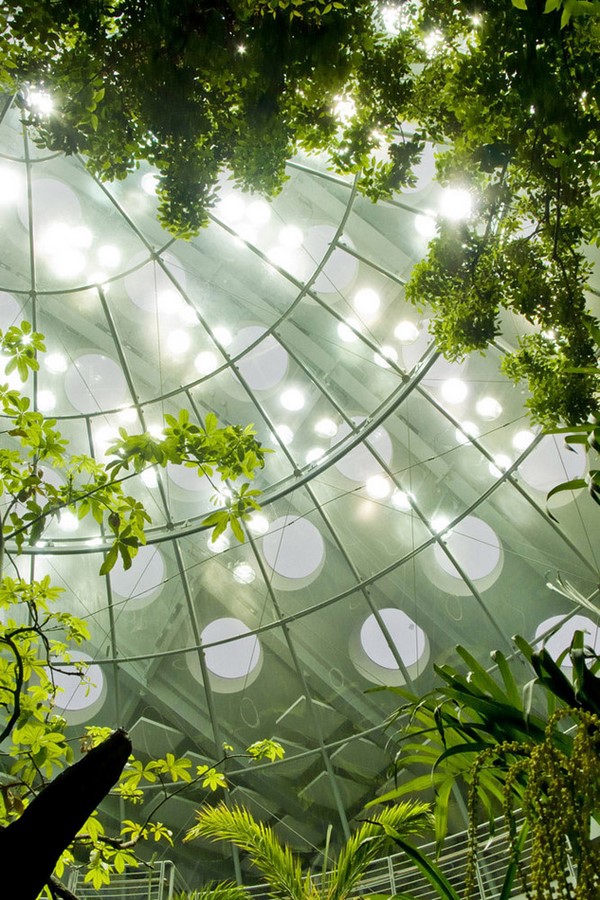California Academy of Sciences in Golden Gate Park by Renzo Piano: The living roof architecture - Sheet10