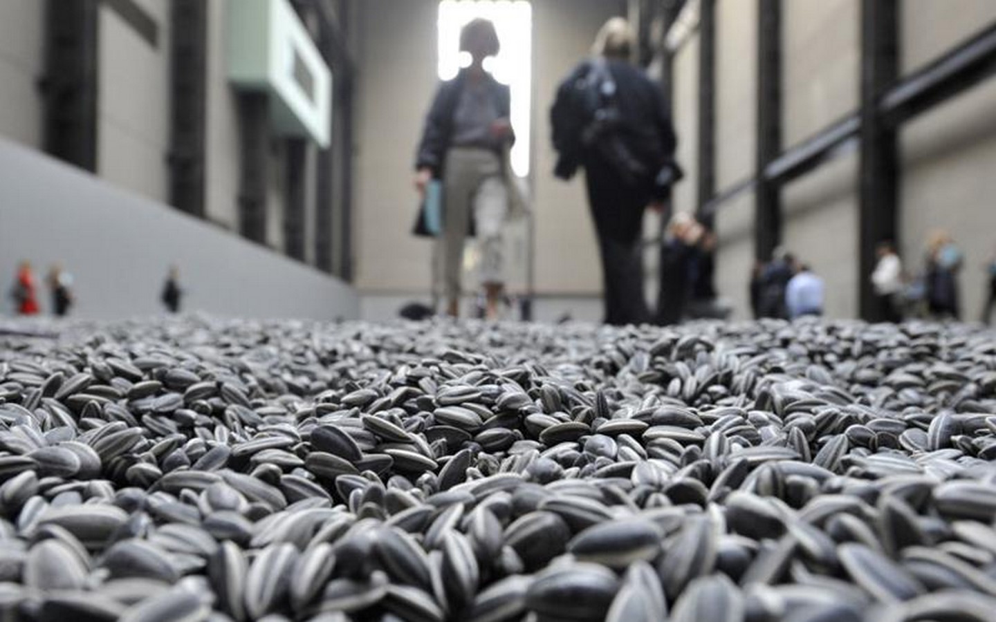 Sunflower Seeds, 2010 Sheet2