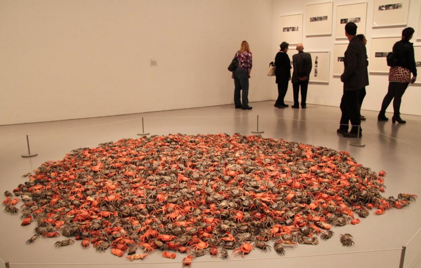 He Xie (River Crabs), 2010 Sheet2