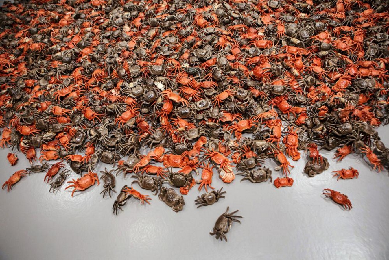 He Xie (River Crabs), 2010 Sheet3