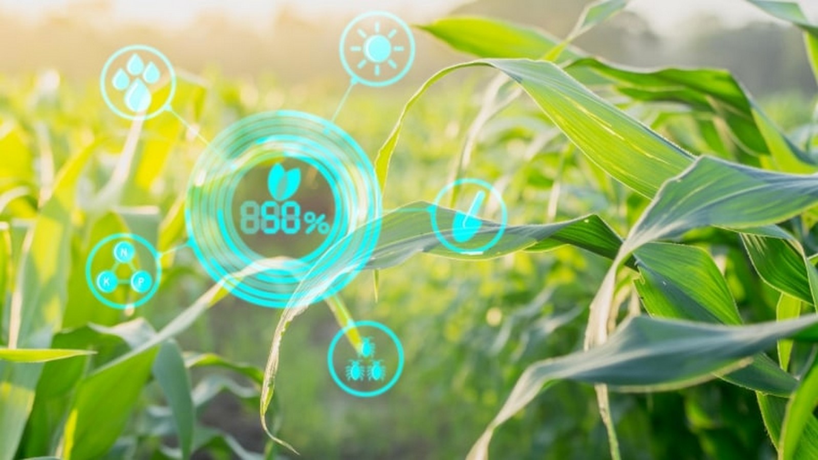 Will Sustainability and Technology together change the way we live? Sheet4
