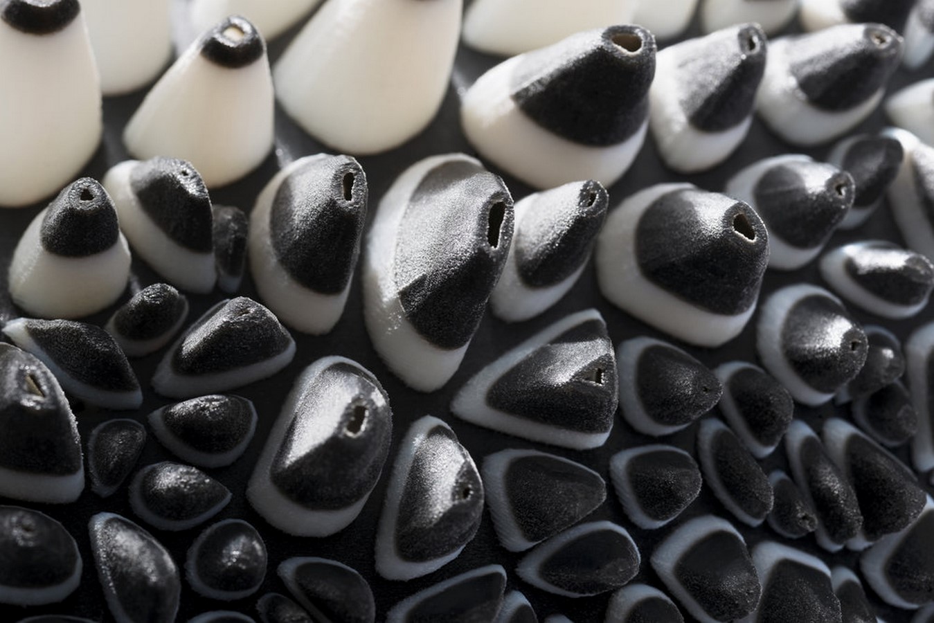 Anthozoa. by Neri Oxman: 3D Printed Dress Sheet3