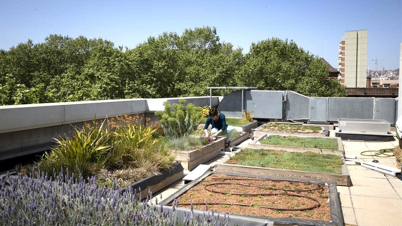 Is Rooftop Architecture a Sustainable Alternative? Sheet2