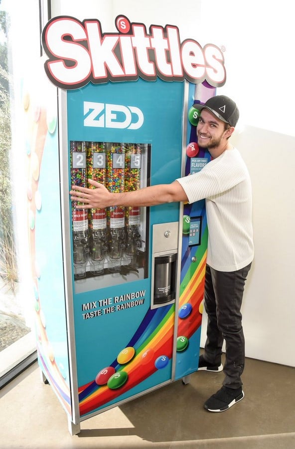 An inside look at all the houses owned by Zedd Sheet21