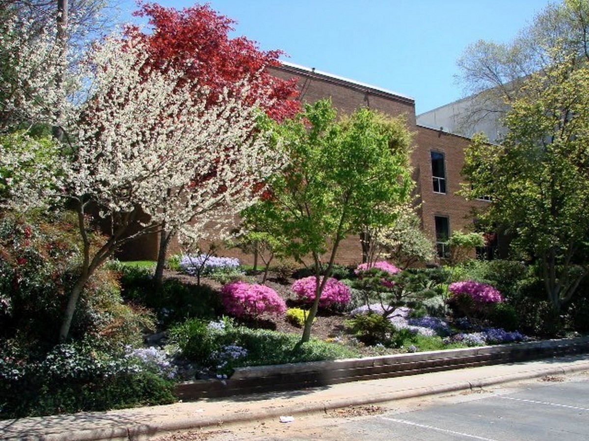 Architects in Winston - Salem - Top 30 Architects in Winston - Salem Sheet16