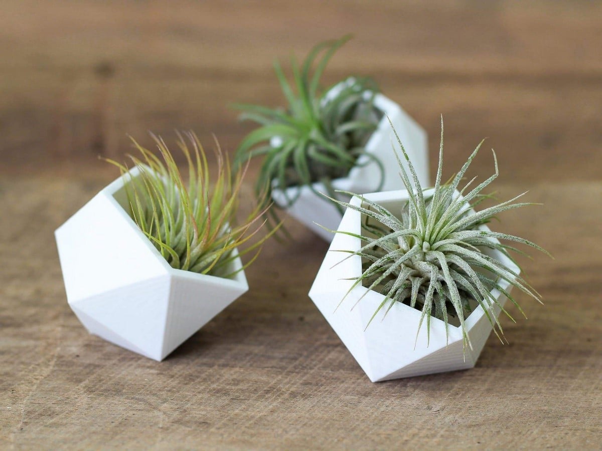 11 Plants for your workstations Sheet1