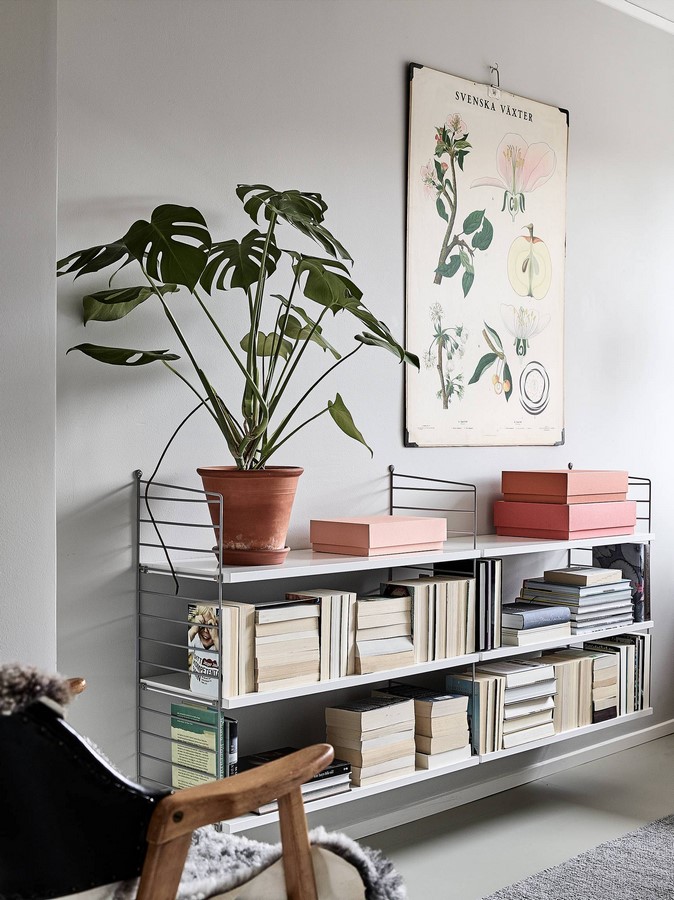 11 Plants for your workstations Sheet10