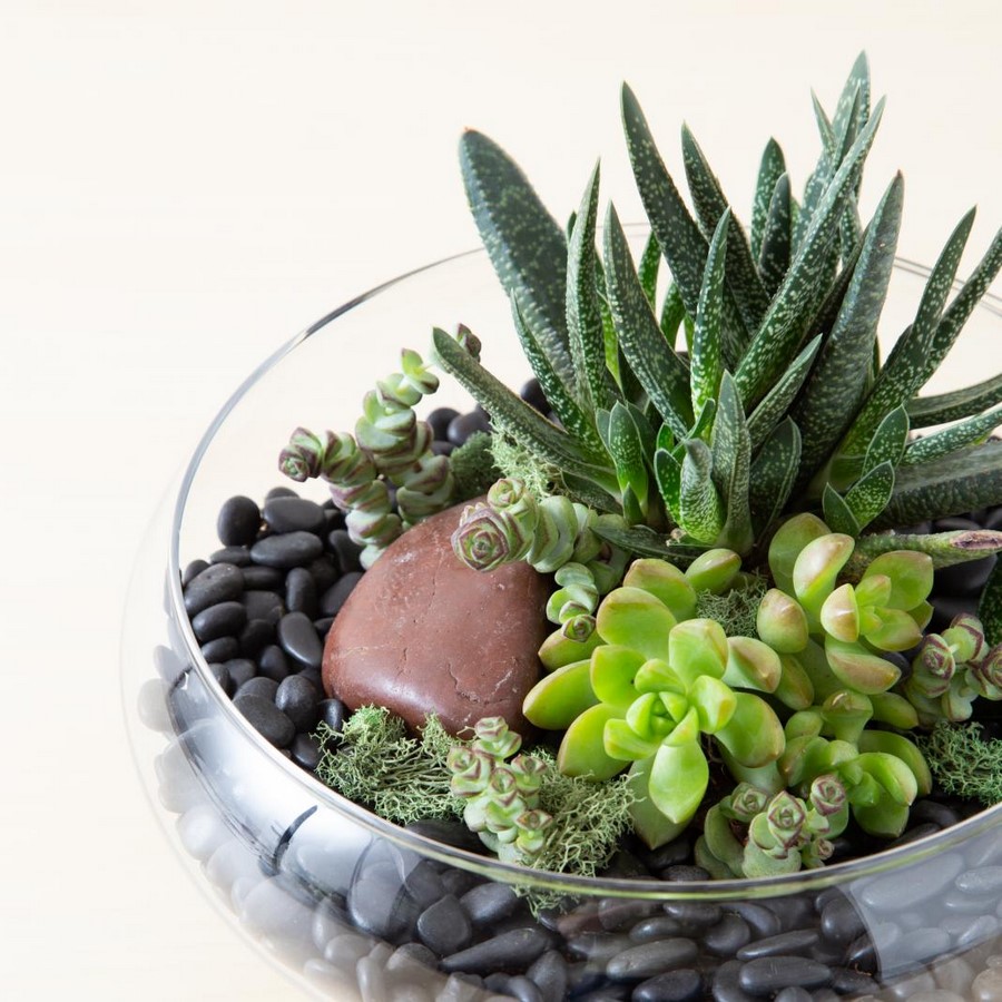 11 Plants for your workstations Sheet5