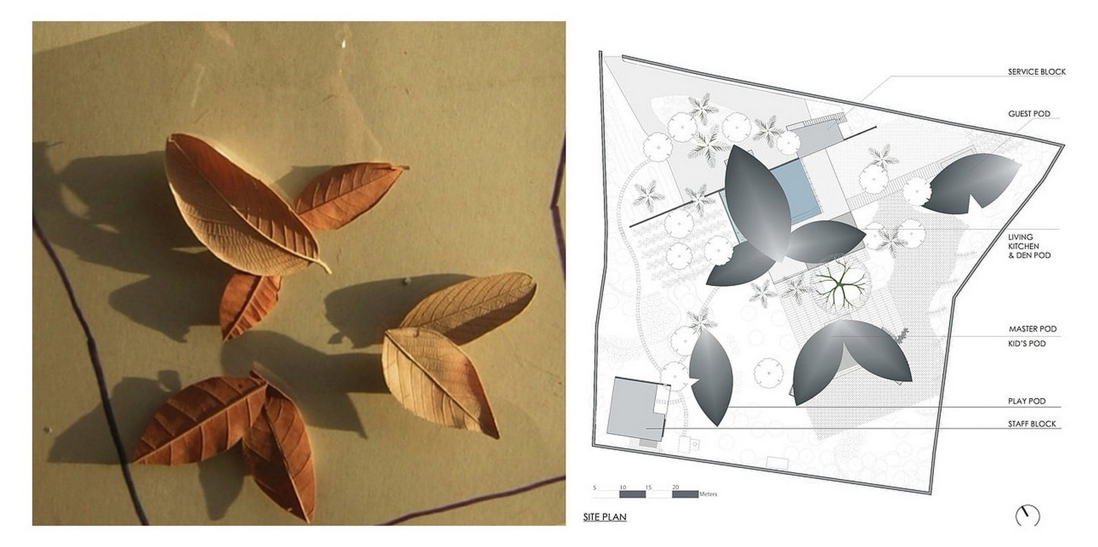 The Leaf House by Shimul Javeri Kadri: The Sheer Force of Nature Sheet2