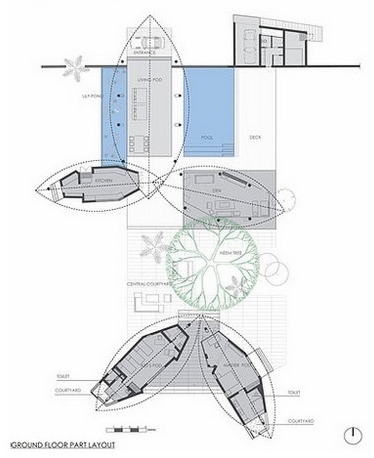 The Leaf House by Shimul Javeri Kadri: The Sheer Force of Nature Sheet3