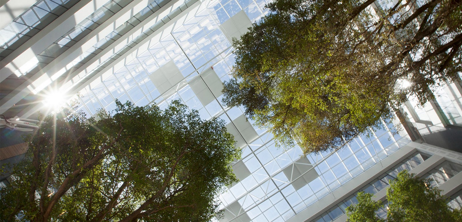 Jaspers-Eyers Architects- 15 Iconic Projects Sheet26