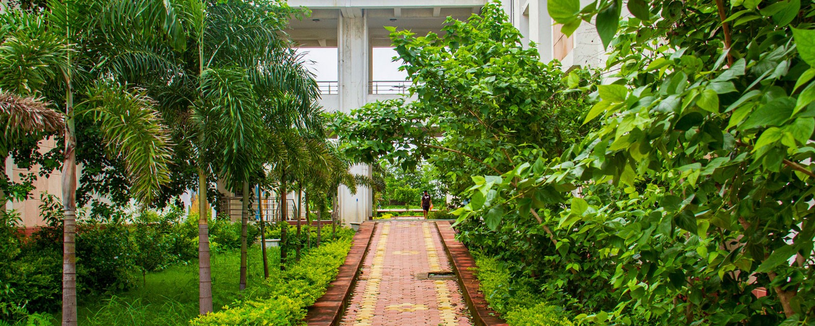 Campus life at SPA, Bhopal Sheet6