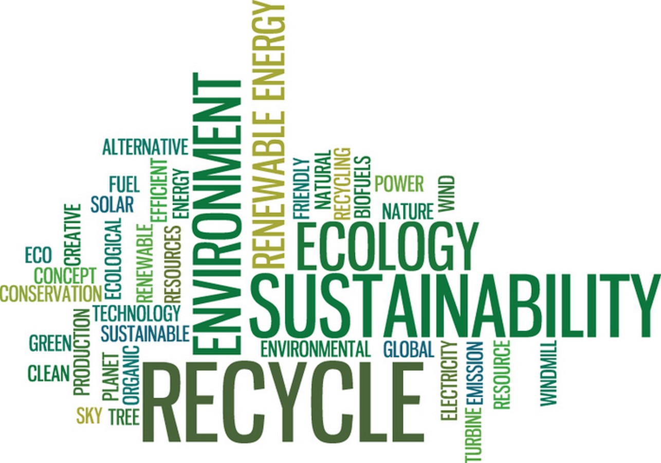 Career Guide: Sustainable Environmental Design Sheet5