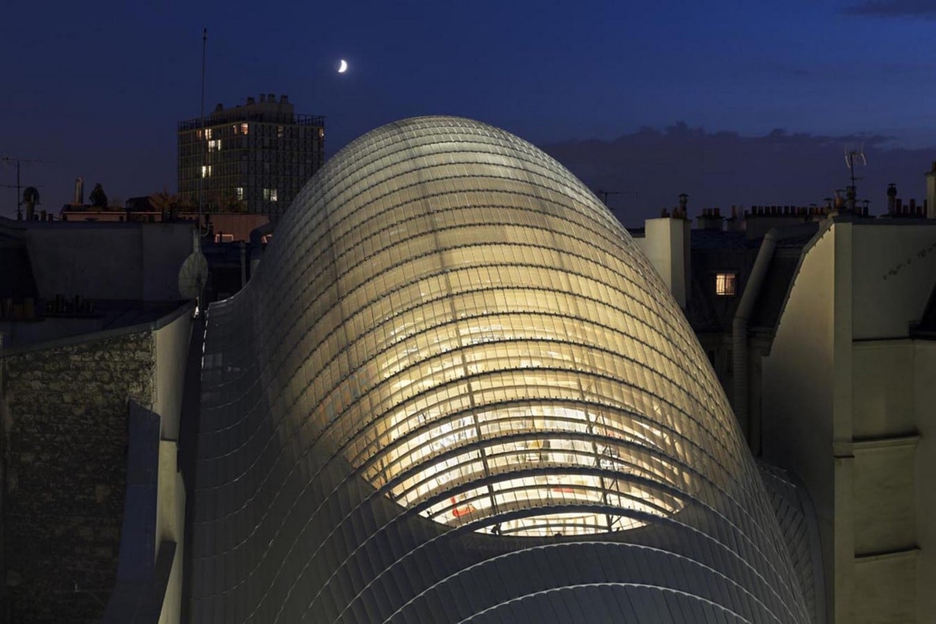 Jérôme Seydoux Pathé Fondation by Renzo Piano: An organic “creature” Sheet8