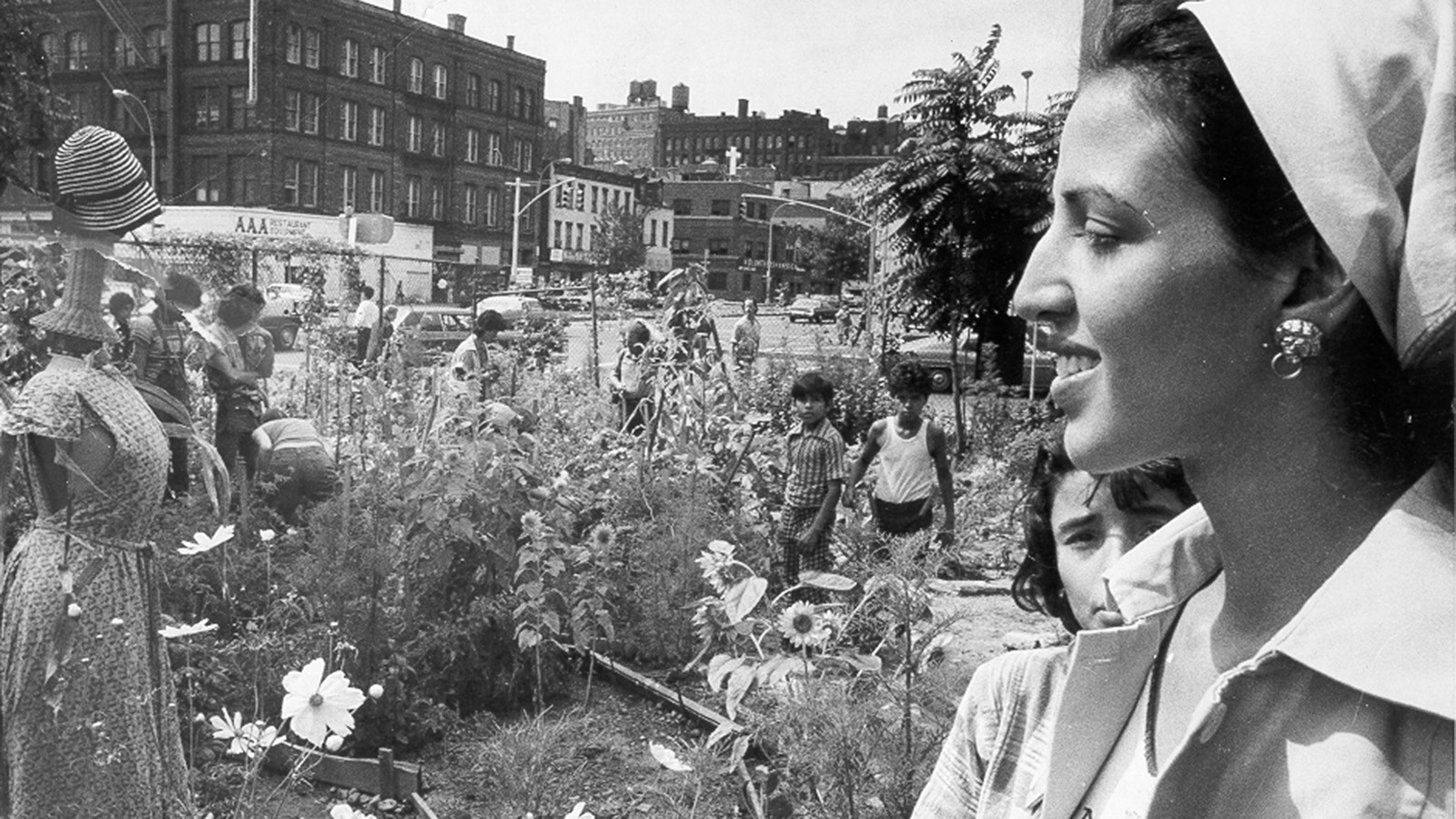 New York and the radical gardener - Sheet4
