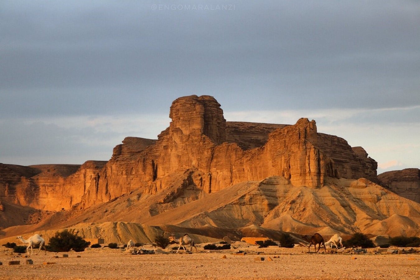 Sustainable architecture in Saudi Arabia - Sheet1