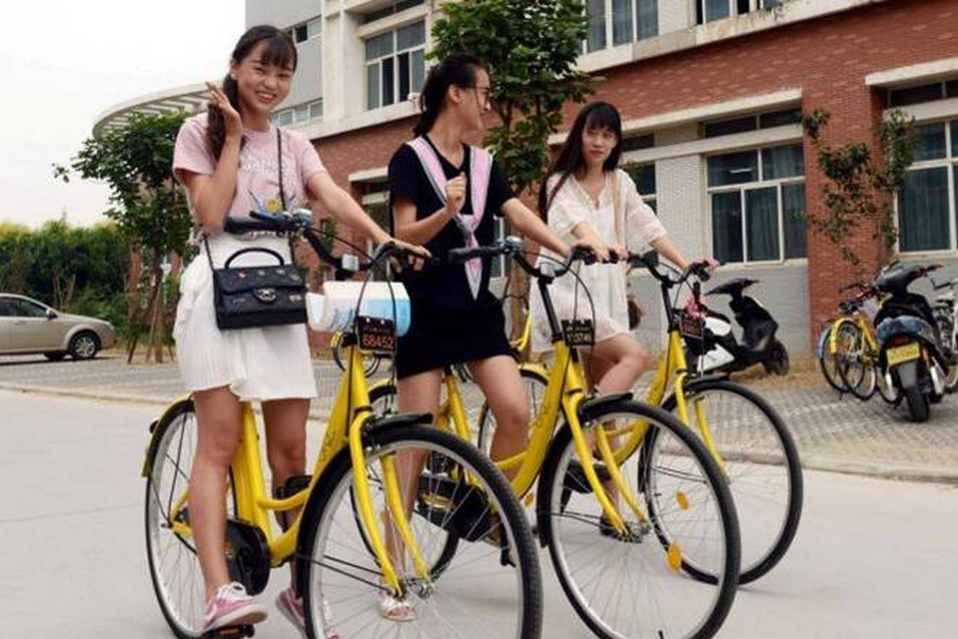 This city has more bicycles than cars and a lesson for India_TheFinancialExpress.com