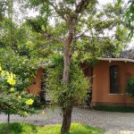 Eugene Pandala – Pioneering Sustainable Architecture of Regional India - Sheet2