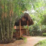 Eugene Pandala – Pioneering Sustainable Architecture of Regional India - Sheet7