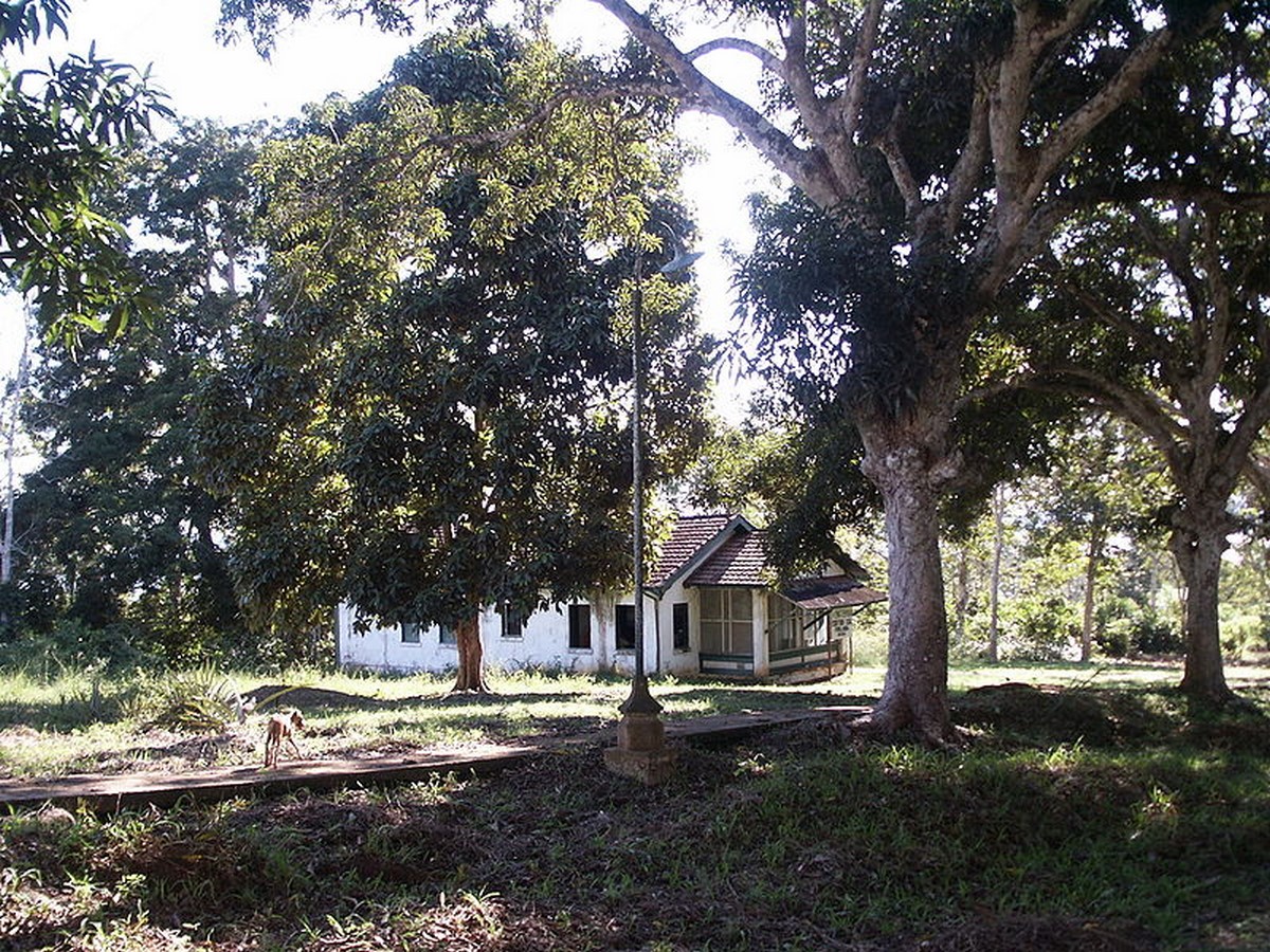 Lost In Time: Fordlandia, Brazil - Sheet6