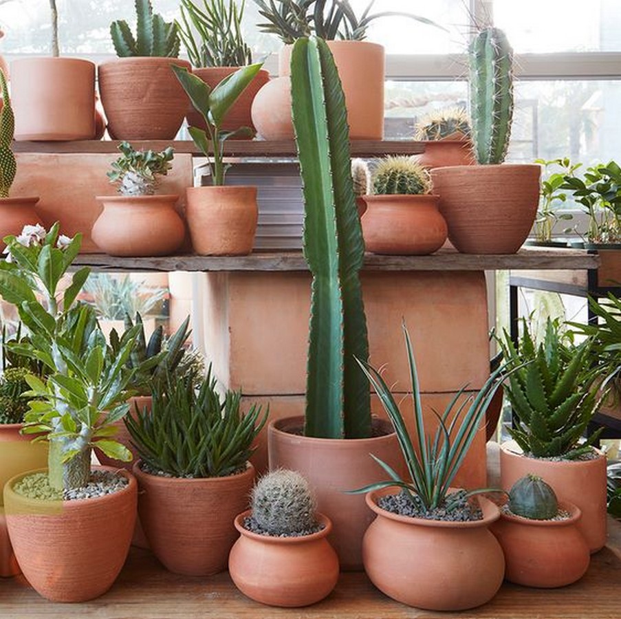 20 Earthy interiors ideas for enhancing your balcony space - Sheet8