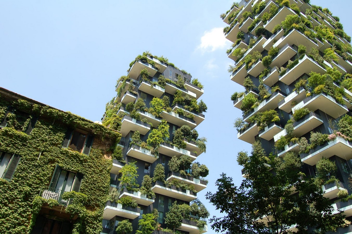 Architecture: The Spine of Society - Sheet7
