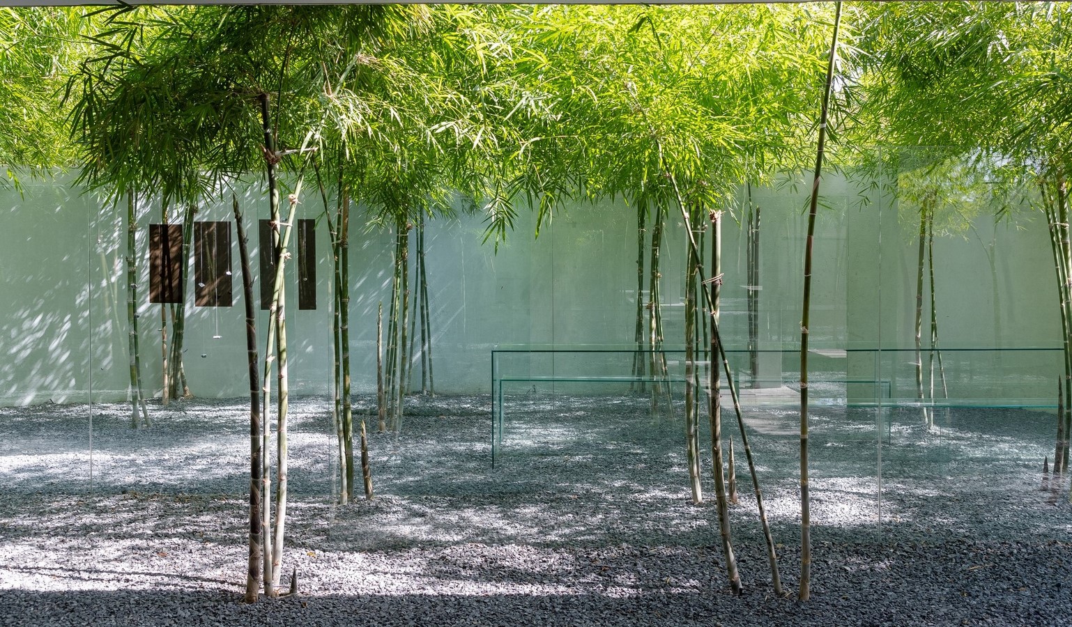 MIA Design Studio Office by MIA Design Studio: An Open Plan wrapped in greenery - Sheet4