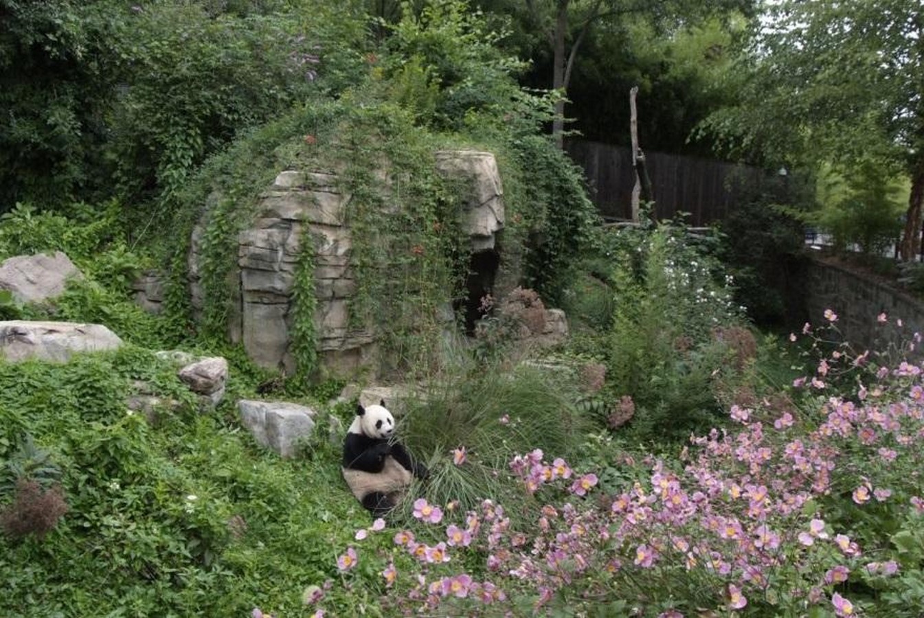 10 things to remember when designing a Zoo - Sheet10