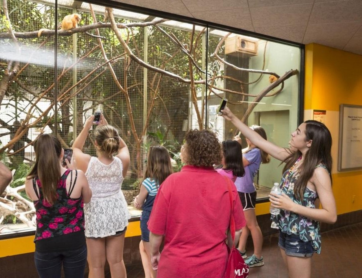 10 things to remember when designing a Zoo - Sheet13