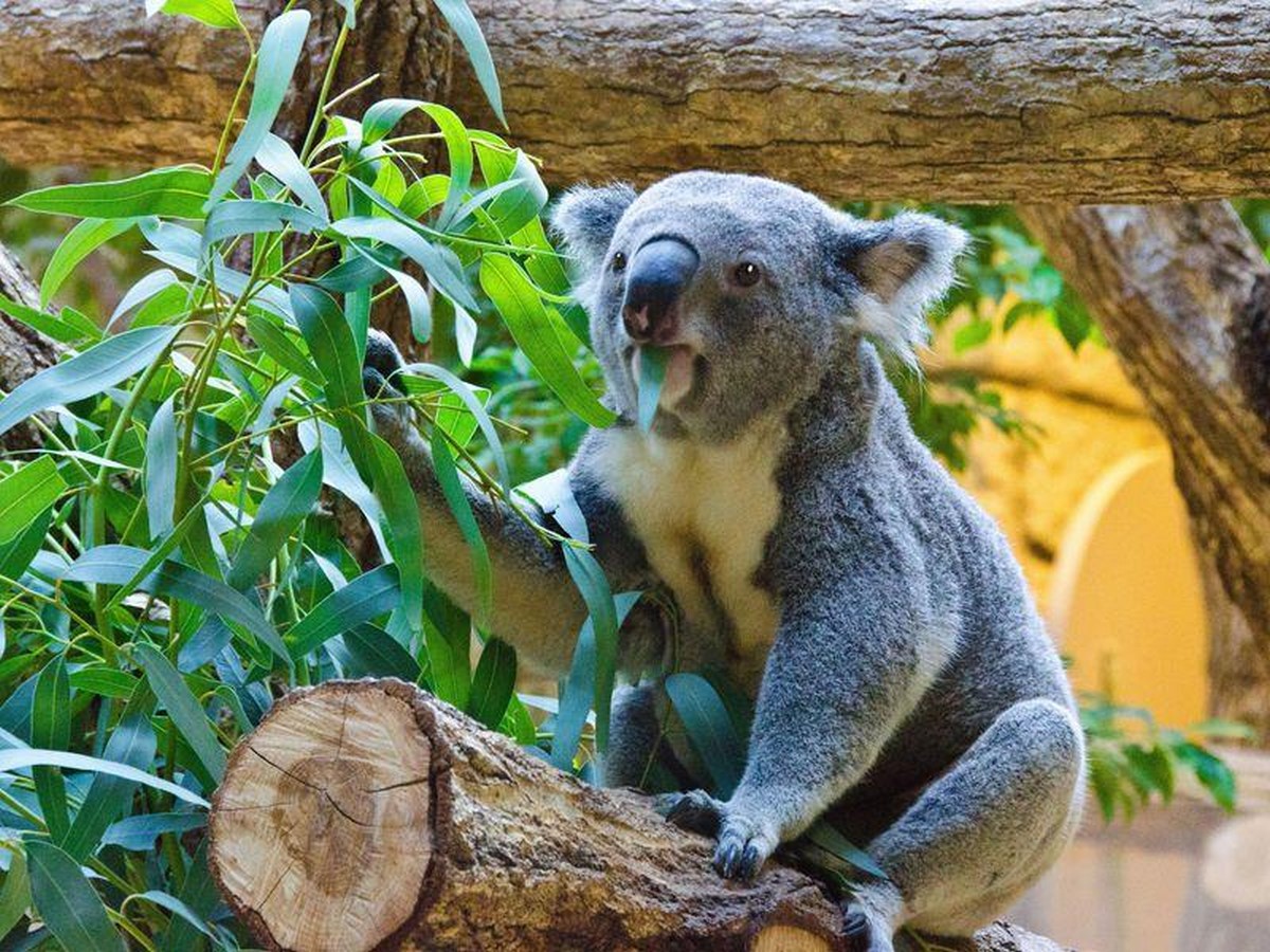 10 things to remember when designing a Zoo - Sheet16