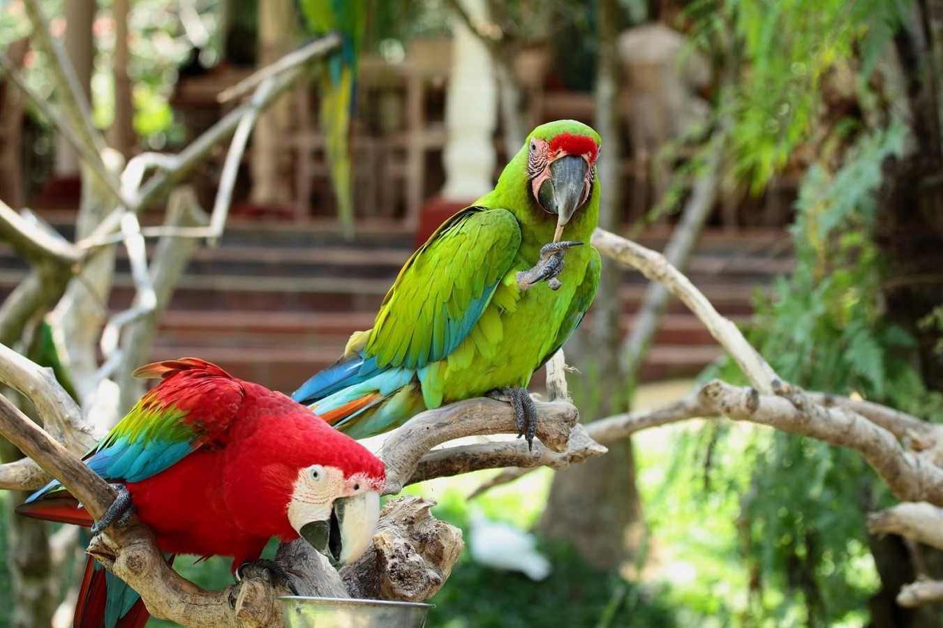 10 things to remember when designing a Zoo - Sheet5