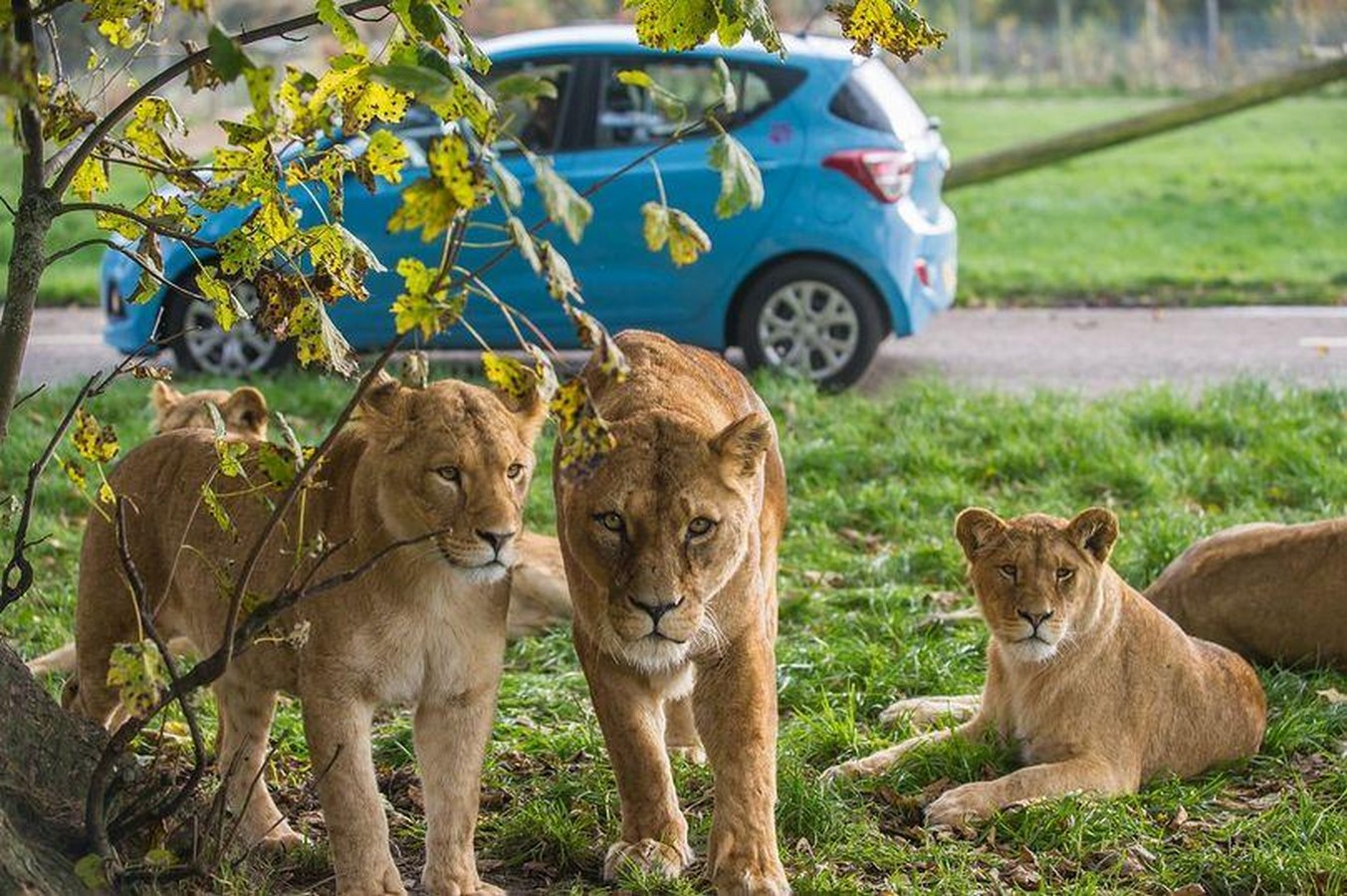 10 things to remember when designing a Zoo - Sheet7