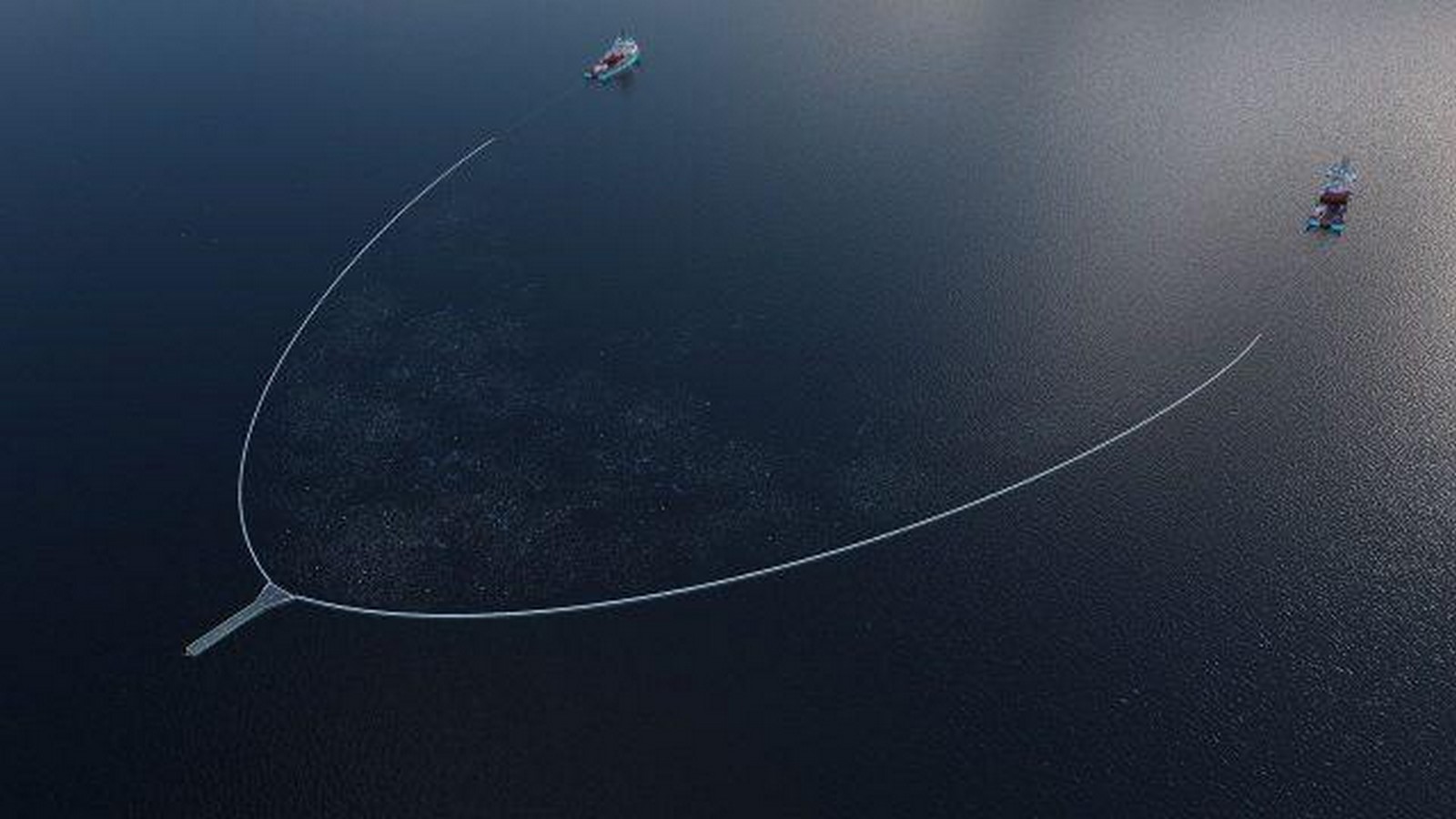 How can we help save our Oceans? - Sheet2