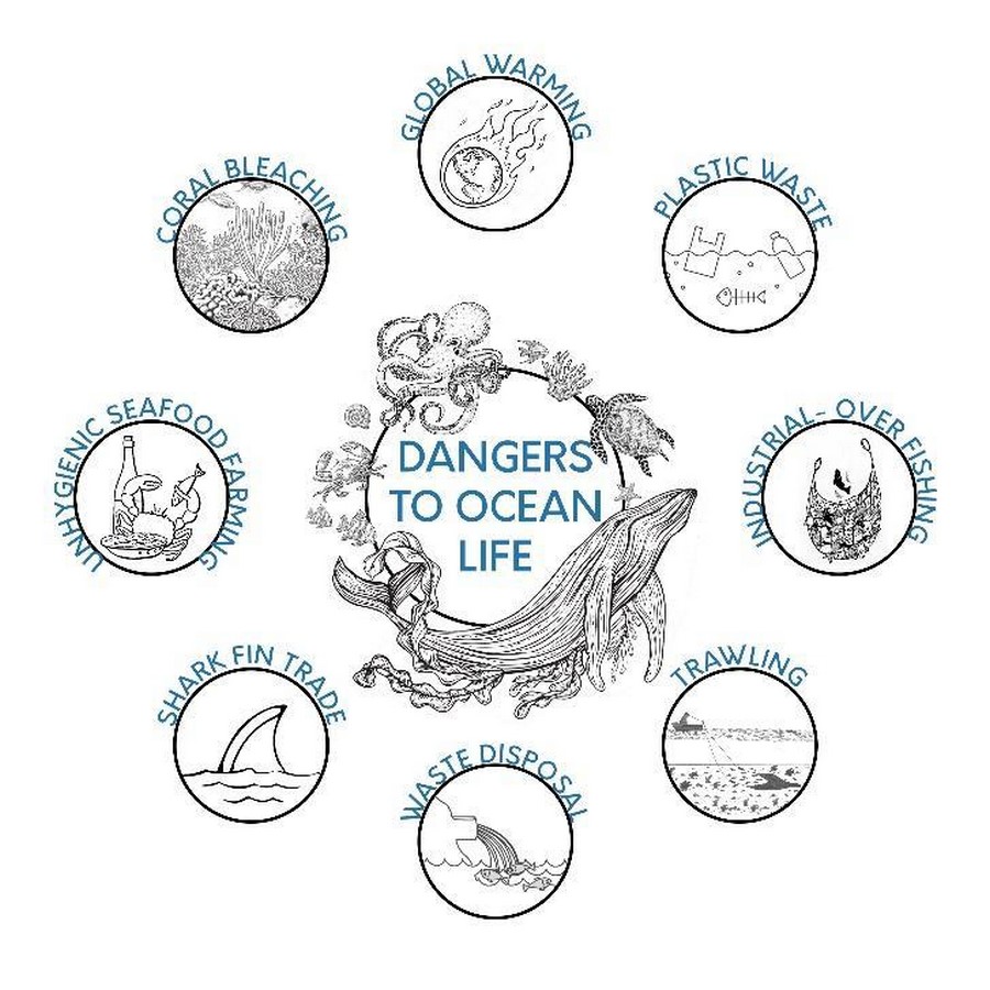 How can we help save our Oceans? - Sheet3