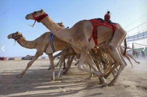 15 Places to visit in Kuwait for the Travelling Architect - Sheet3