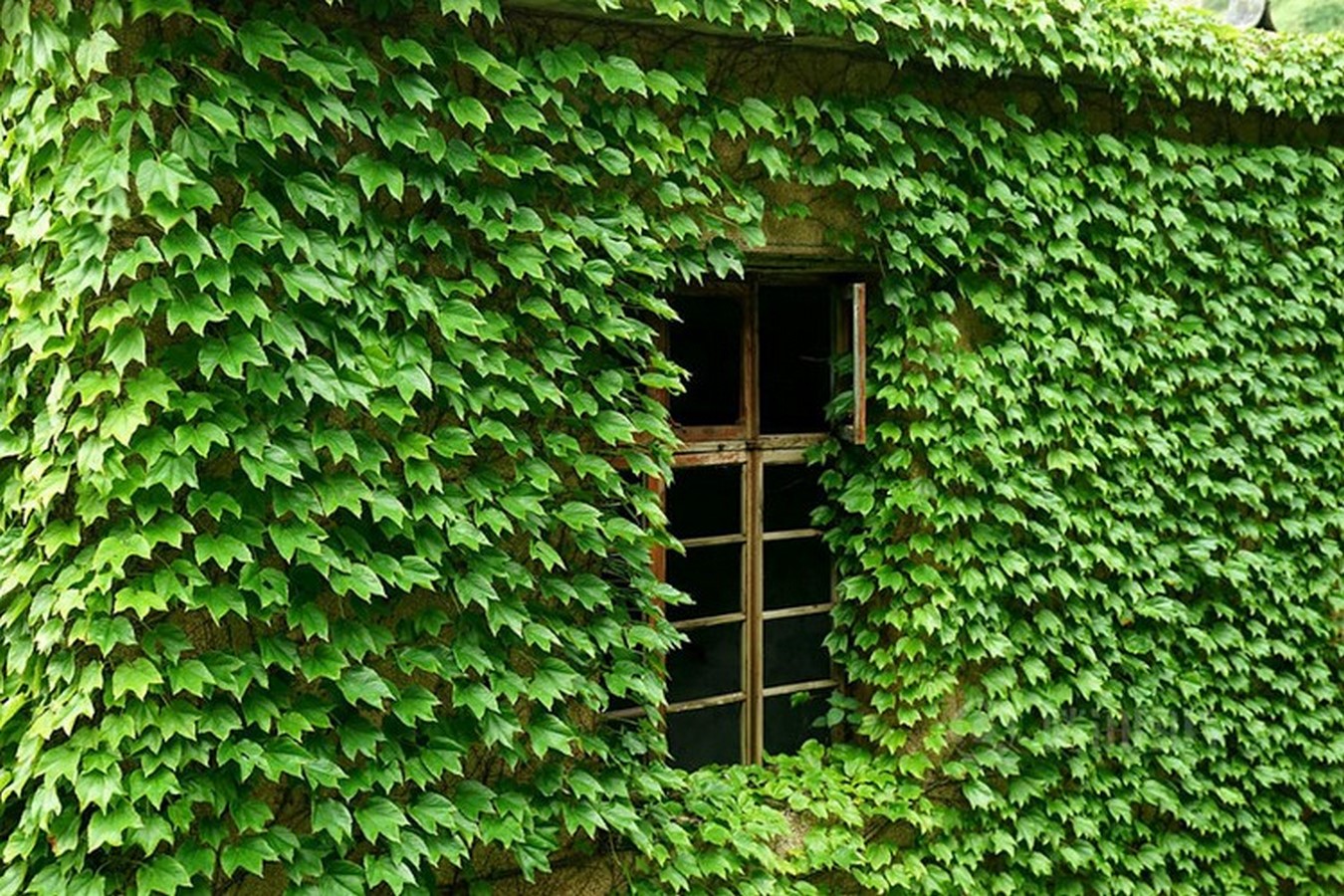 Lost In Time: Gouqi Island, China - Sheet3