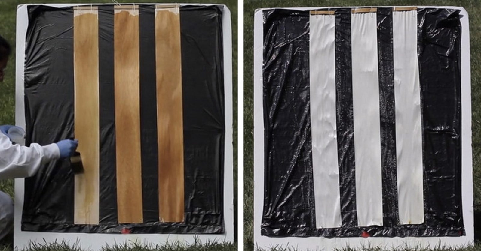 Alternative Materials: Translucent Wood - Sheet8