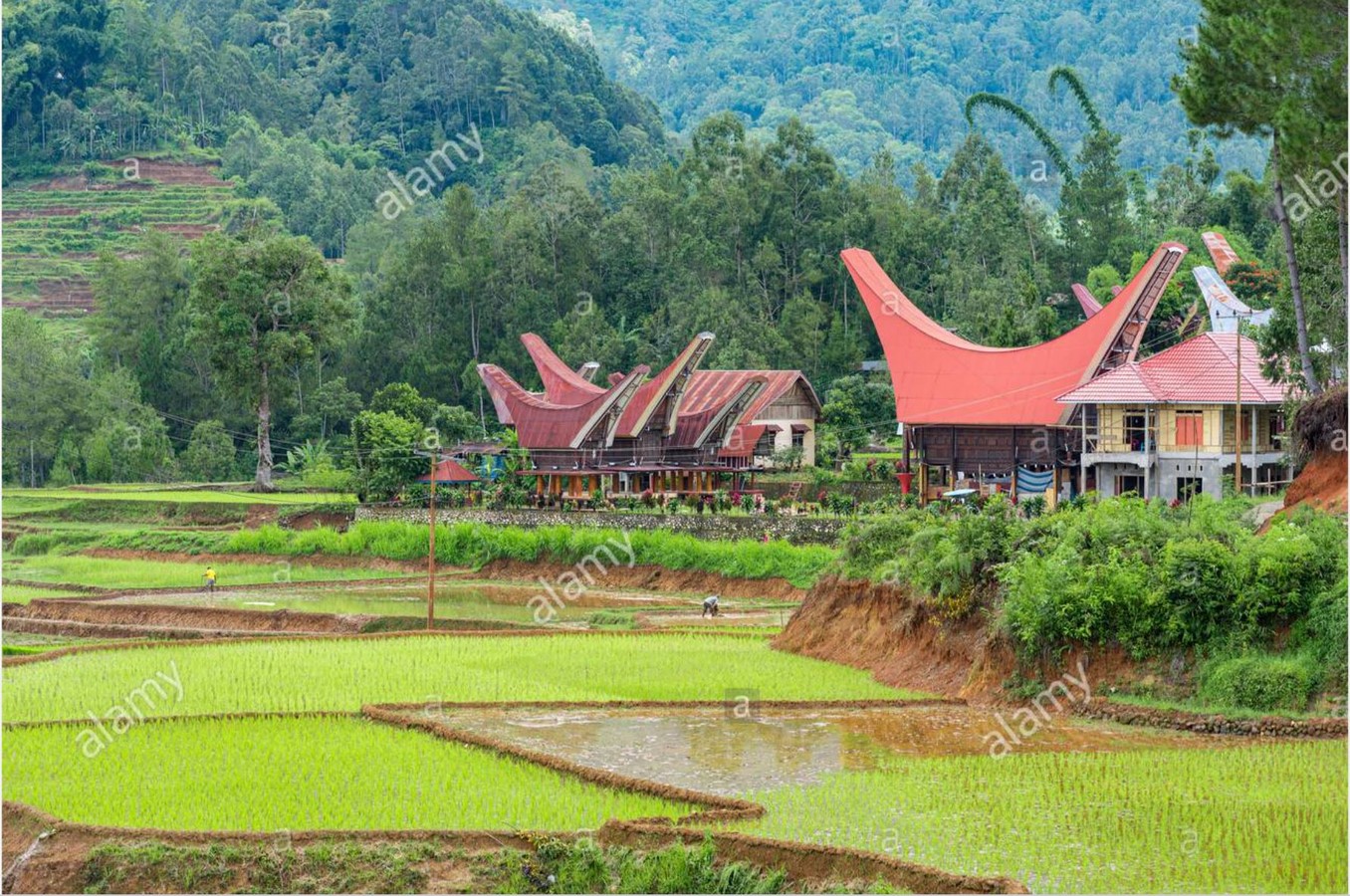 An overview of Toraja Houses - Sheet4